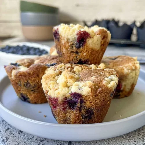 chocolate blueberry muffins recipe