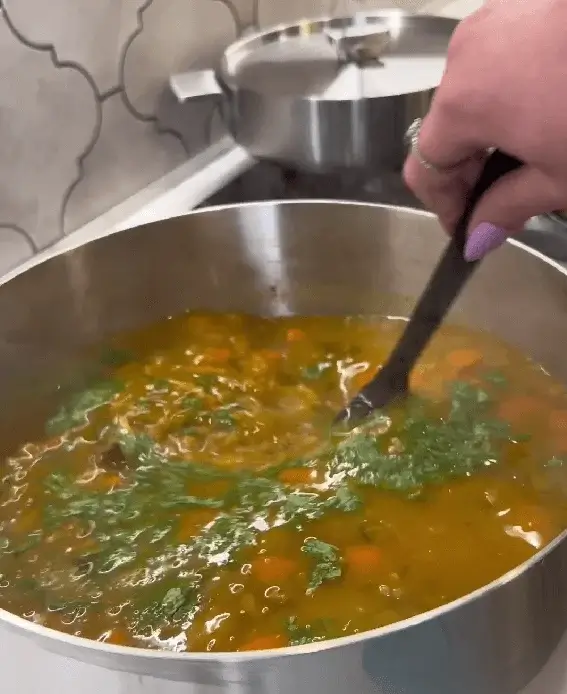 moroccan harira soup recipe