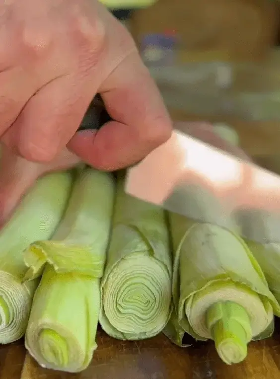 leek lasagna recipe