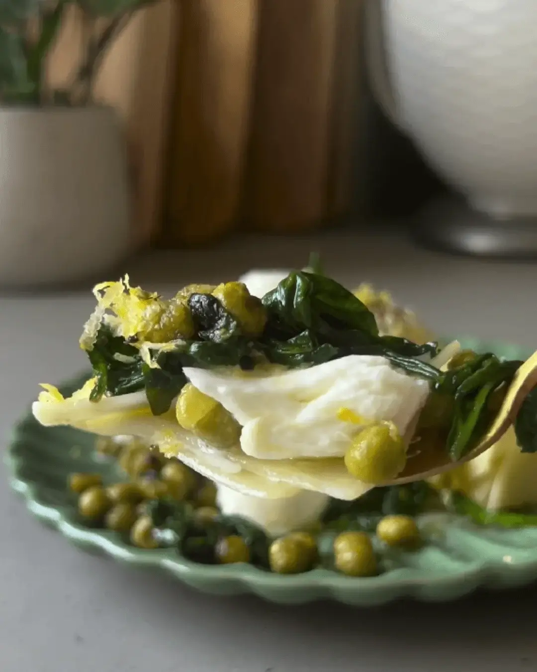 fresh spinach lasagna recipe