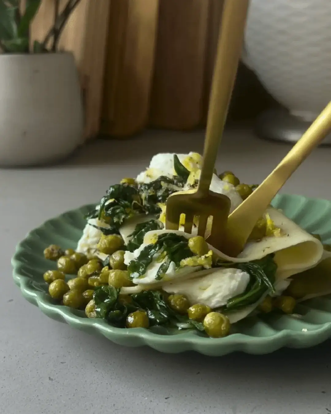 fresh spinach lasagna recipe