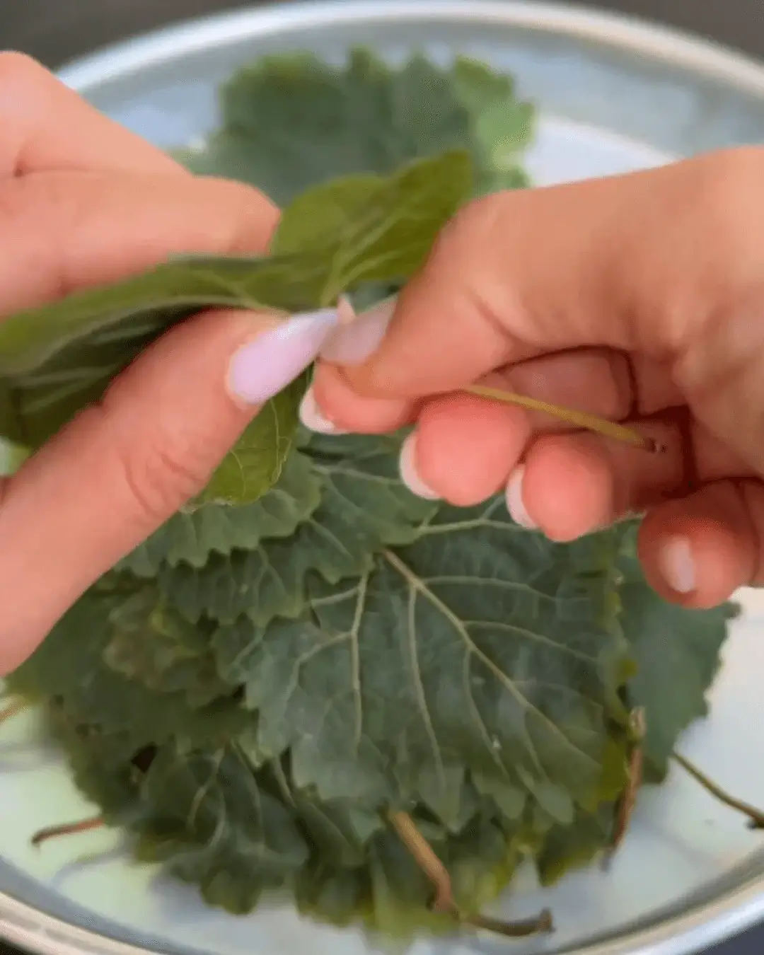 meatless grape leaves recipe