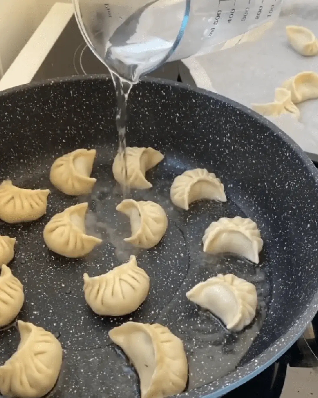 pan fried gyoza recipe