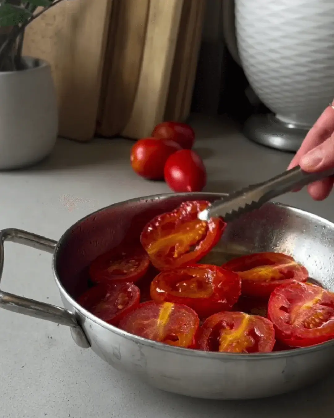 roasted tomatoes appetizer recipe