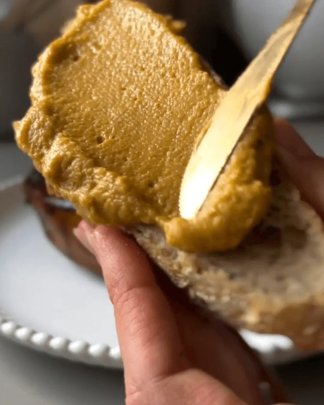 pumpkin spread recipe