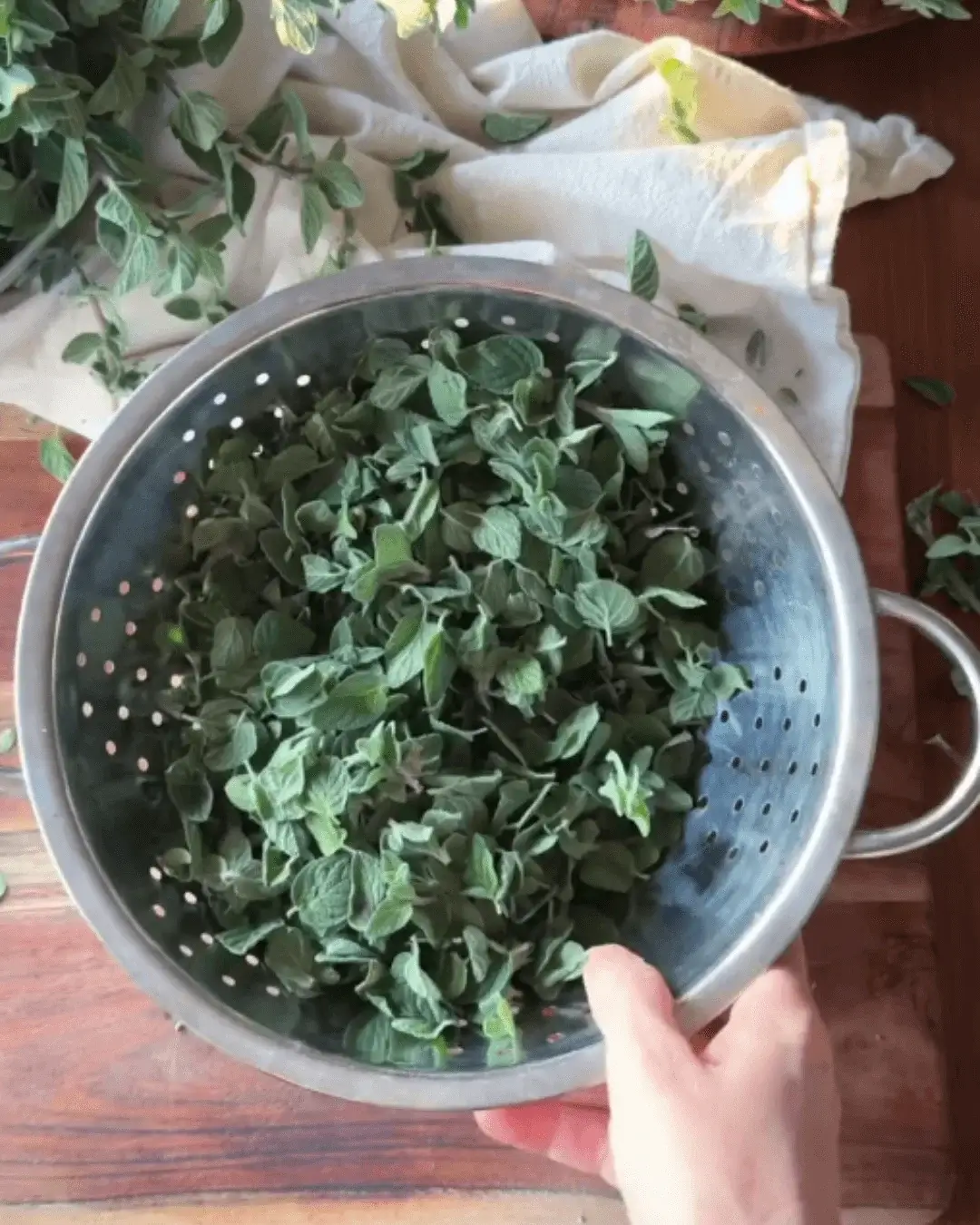 zaatar bread recipe