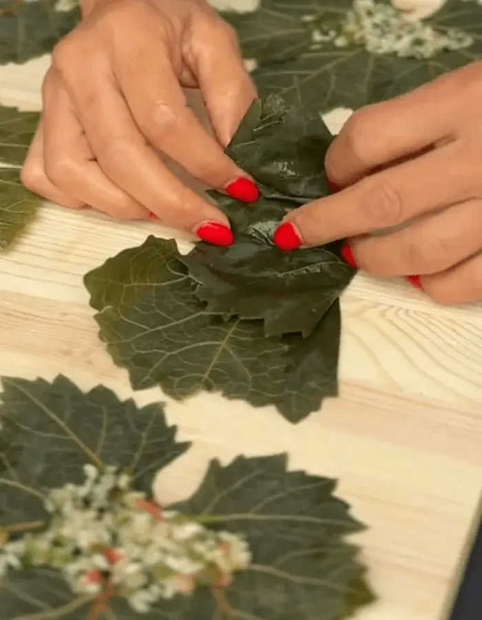 greek grape leaves recipe