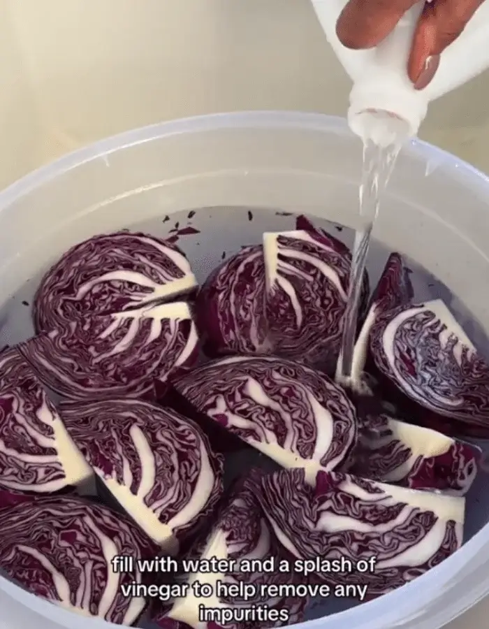 pickled red cabbage recipe