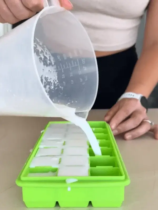 dairy free coconut ice cream recipe