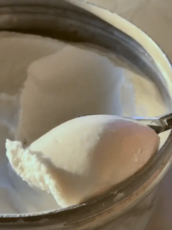 dairy free coconut ice cream recipe