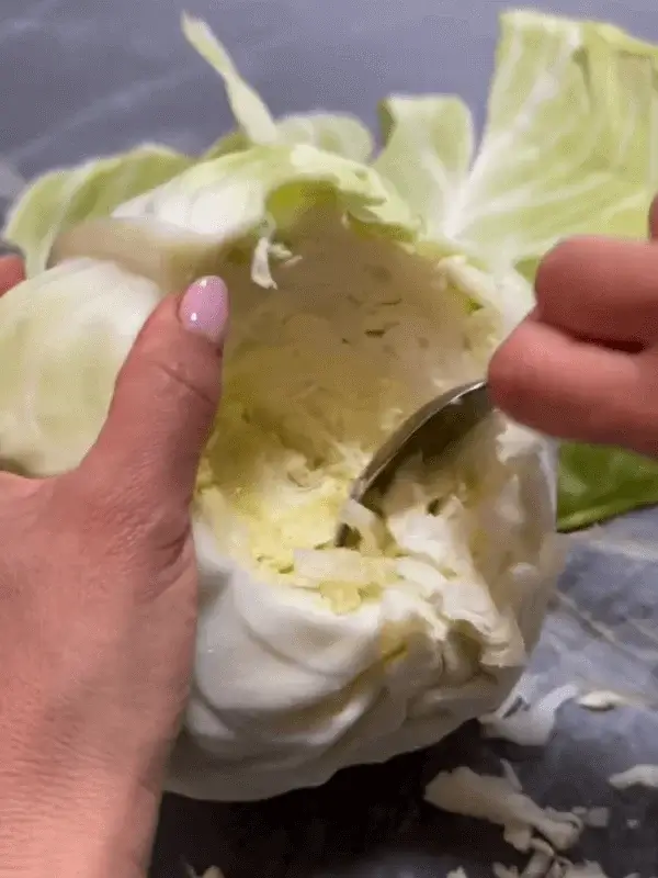 whole stuffed cabbage recipe