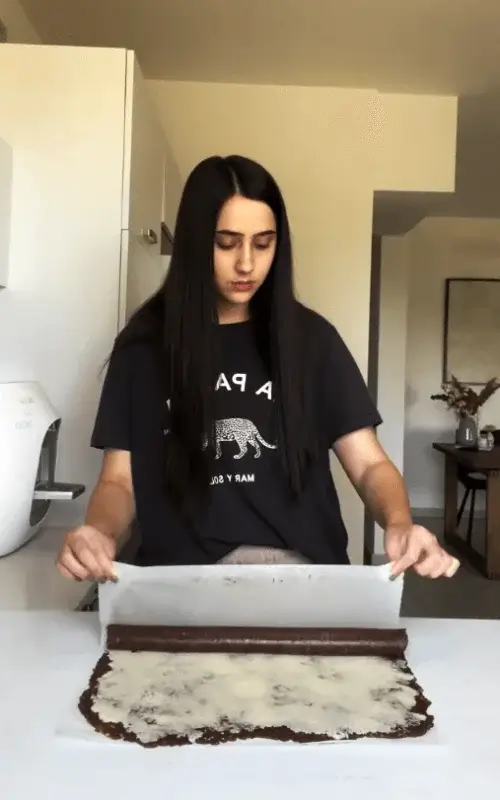 chocolate coconut roll recipe