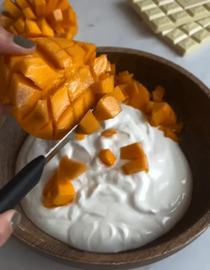 chocolate yogurt bars​ recipe