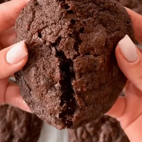 cocoa chocolate chip cookies recipe