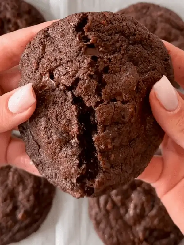 cocoa chocolate chip cookies recipe