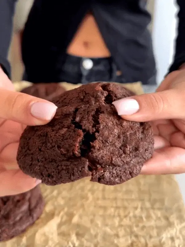 cocoa chocolate chip cookies recipe
