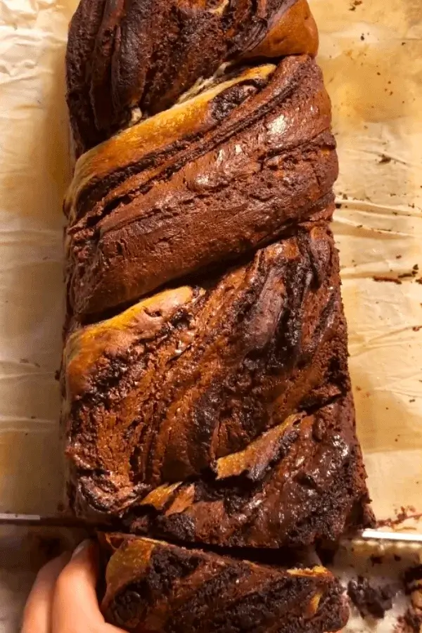 double chocolate babka recipe