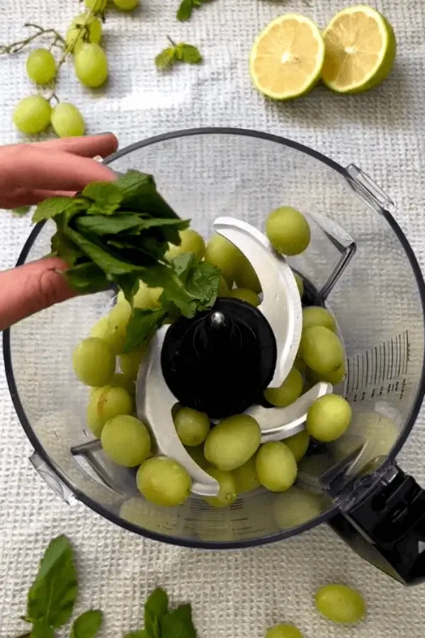 grape sorbet recipe