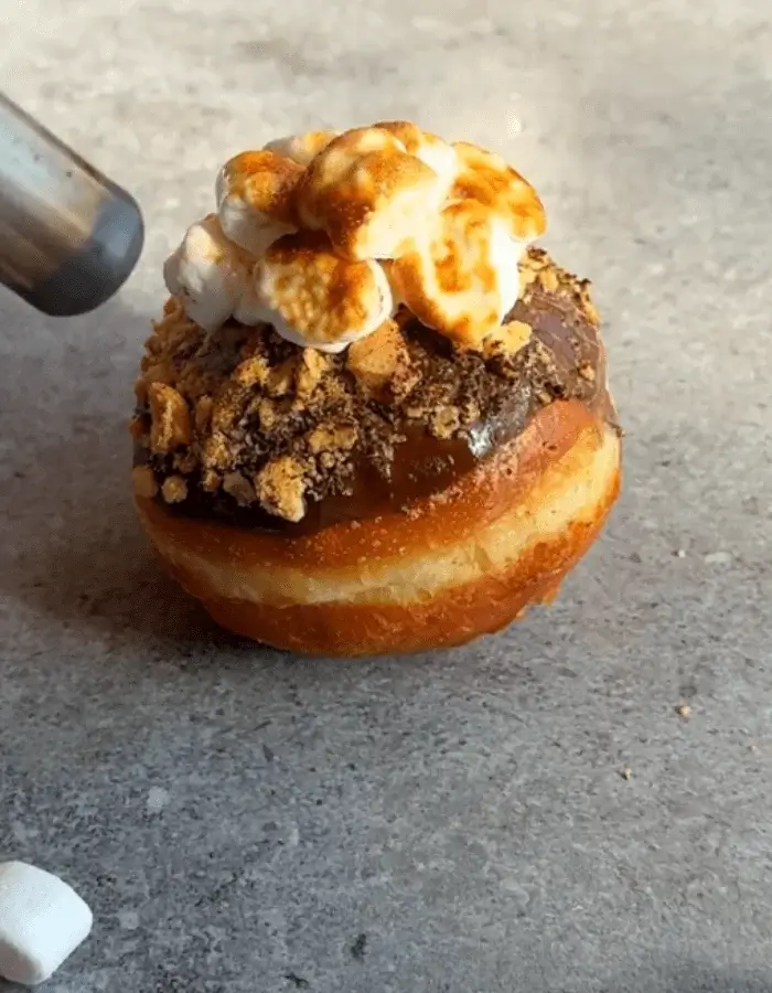 smores donuts recipe