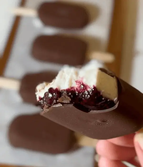 vegan ice cream bars recipe