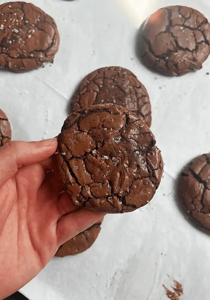 gluten free chocolate brownie cookies recipe