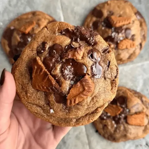 biscoff chocolate cookies recipe