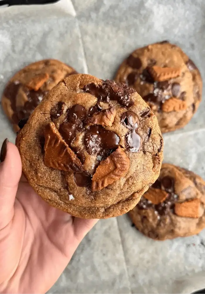 biscoff chocolate cookies recipe