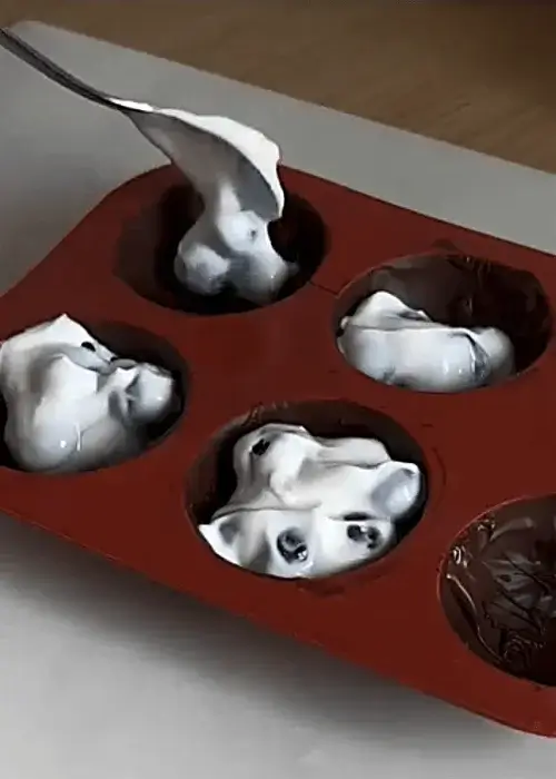 frozen yogurt bites recipe