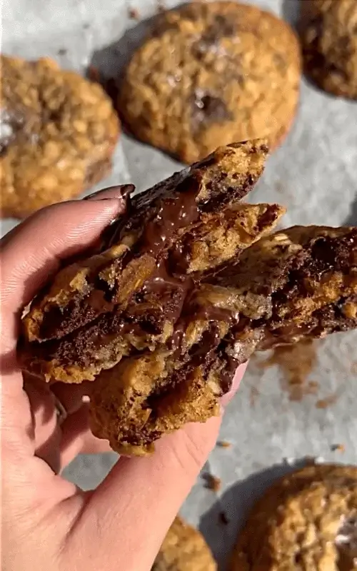 oatmeal chocolate cookies recipe