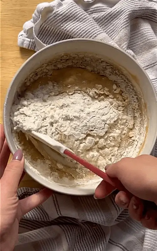 oatmeal chocolate cookies recipe