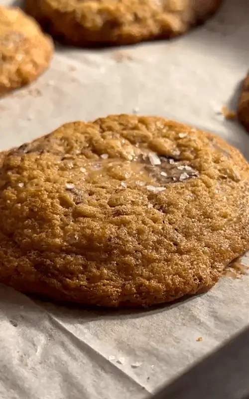 oatmeal chocolate cookies recipe