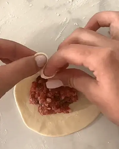 beef soup dumplings recipe