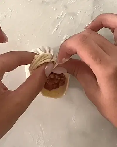 beef soup dumplings recipe