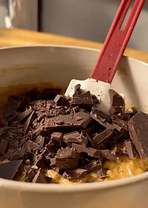 dark chocolate oatmeal cookies recipe