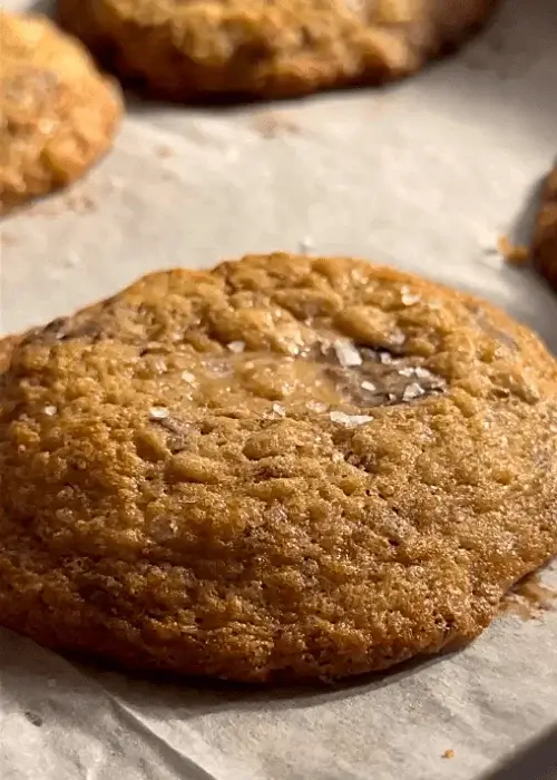 dark chocolate oatmeal cookies recipe