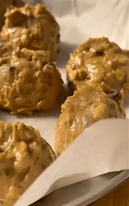 dark chocolate oatmeal cookies recipe