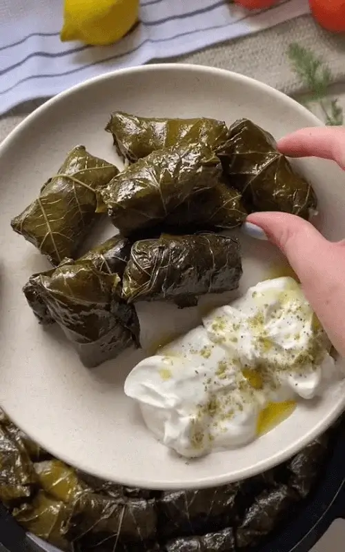 stuffed grape leaves recipe