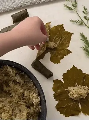stuffed grape leaves recipe