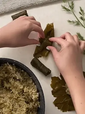 stuffed grape leaves recipe