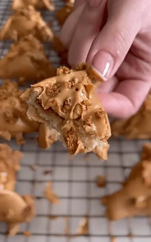 vegan hamantaschen recipe