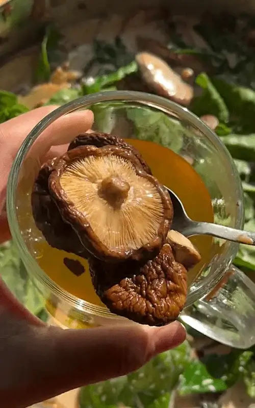 mushroom lovers pasta recipe