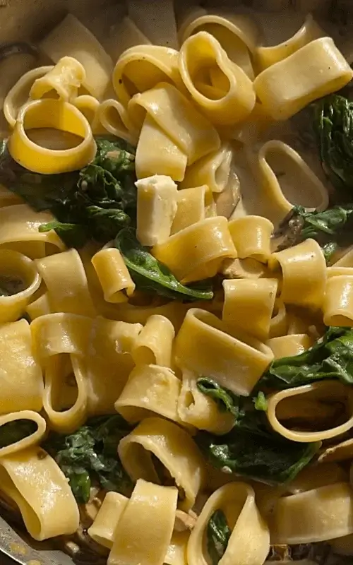 mushroom lovers pasta recipe