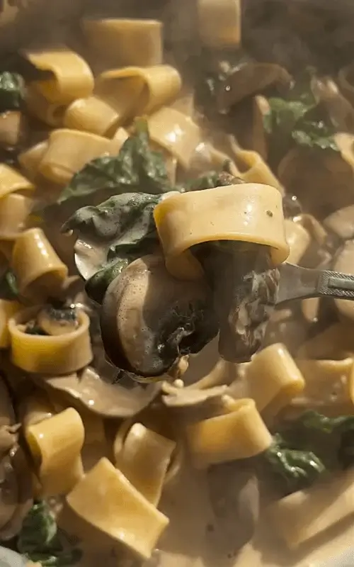 mushroom lovers pasta recipe