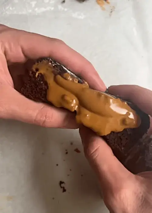 vegan chocolate lava cake recipe