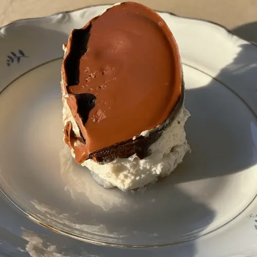 chocolate biscuit cake ice cream recipe