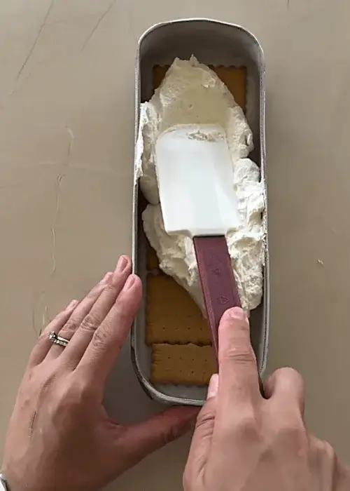 chocolate biscuit cake ice cream recipe
