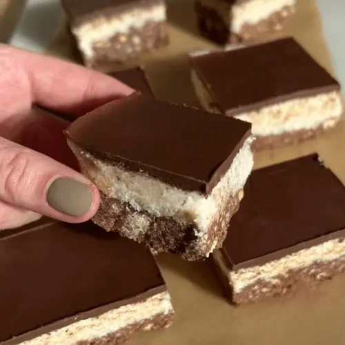 chocolate coconut squares recipe