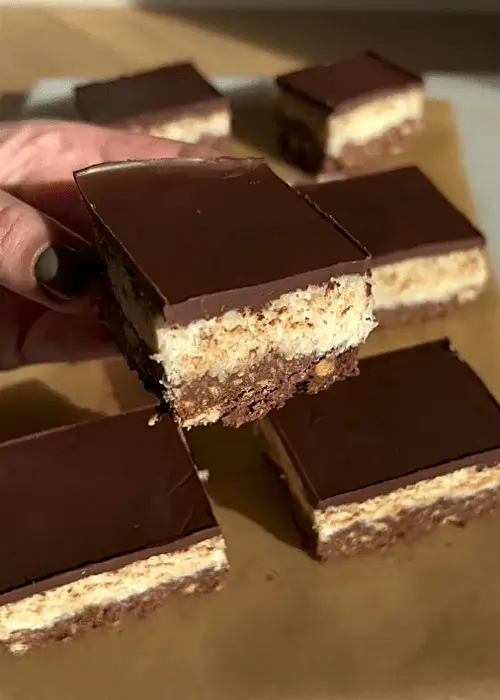 chocolate coconut squares recipe
