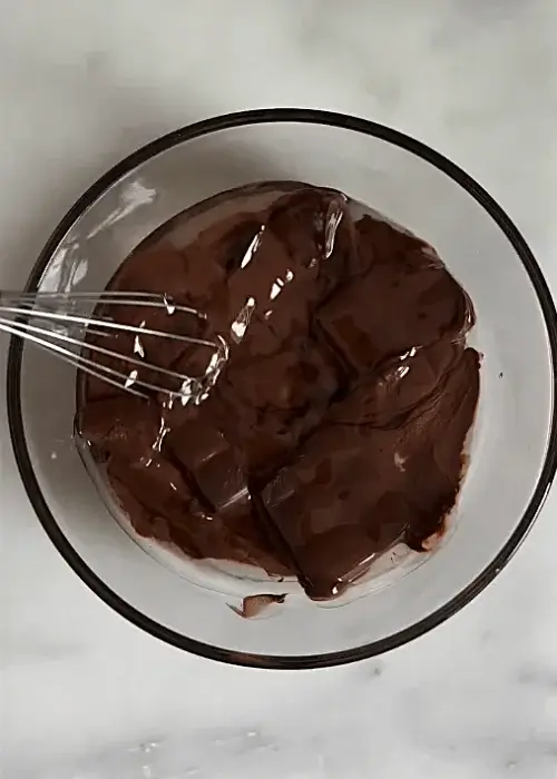 chocolate coconut squares recipe