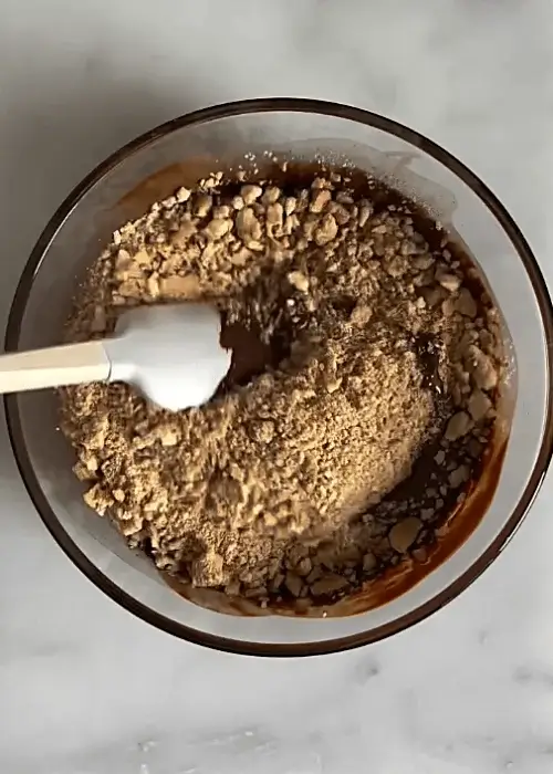 chocolate coconut squares recipe